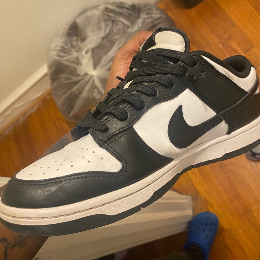 Panda Dunk - image 5